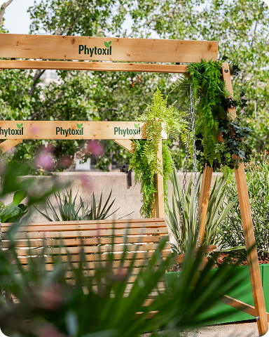 Une balançoire suspendue en bois entourée de plantes vertes dans un espace extérieur aménagé