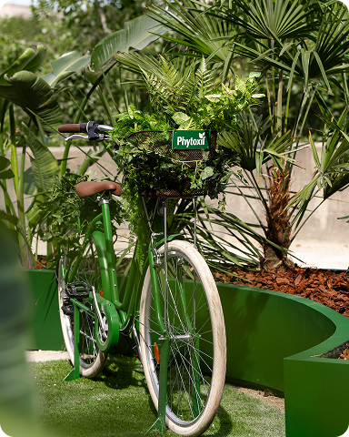 Un vélo de couleur verte dont le panier est garni de plantes, servant d'élément de décoration éco-responsable