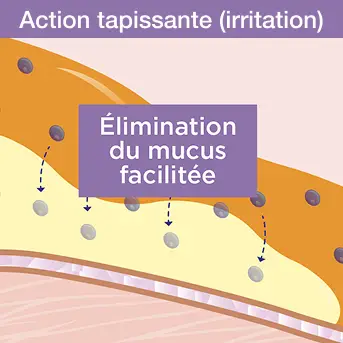 Élimination du mucus facilitée