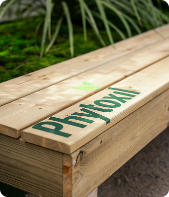 Gros plan sur le logo Phytoxil gravé sur un banc en bois clair