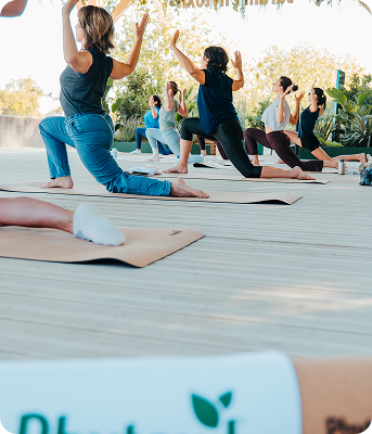 Gros plan sur le logo Phytoxil gravé sur un banc en bois clair