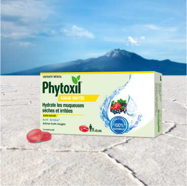 Phytoxil spray gorge irritée et toux sèche - miel et mauve blanche