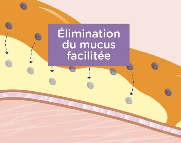Élimination du mucus facilitée