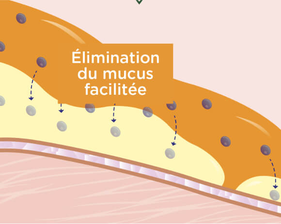 Élimination du mucus facilitée