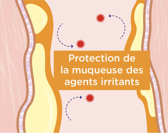 Protection de la muqueuse des agents irritants