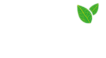 Phytoxil